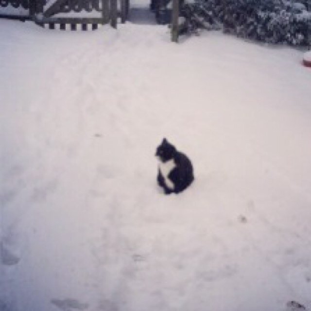 twitchytweeting's profile picture. Lots of hats (teacher, coach, PT). MH warrior (current diagnosis:BPD) & LGBT+ 🏳️‍🌈 Content all my opinion & any offence caused is unintentional!