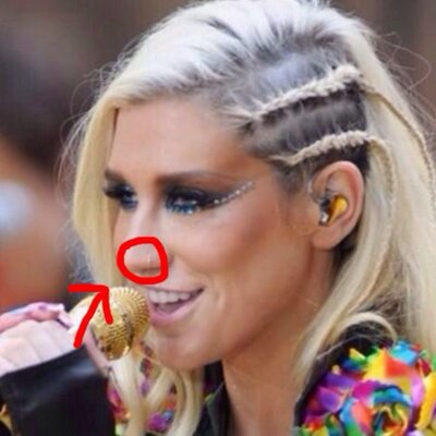 Kesha nose best sale ring