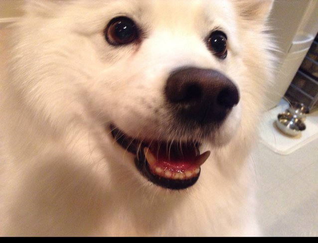 eskiesfurever's profile picture. 