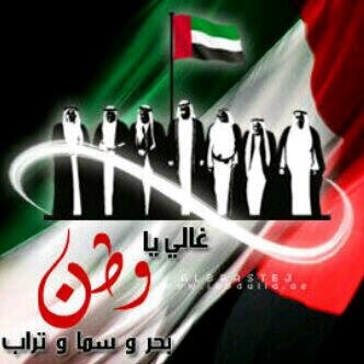 Pin:2B13DB2B
