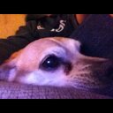 Ted O'Brien - @TedOBrien7 - Twitter