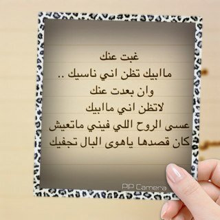 هـو قَلمي.يگتب مـا يريد,يعبرعن رأيي وضعت له خطوطاً حمراءلايتجاوزها,ليس لأيٍ گان سلطة عليه .ليس المهم أن يرضي الناس.الأهم أن يرضي ضميري.