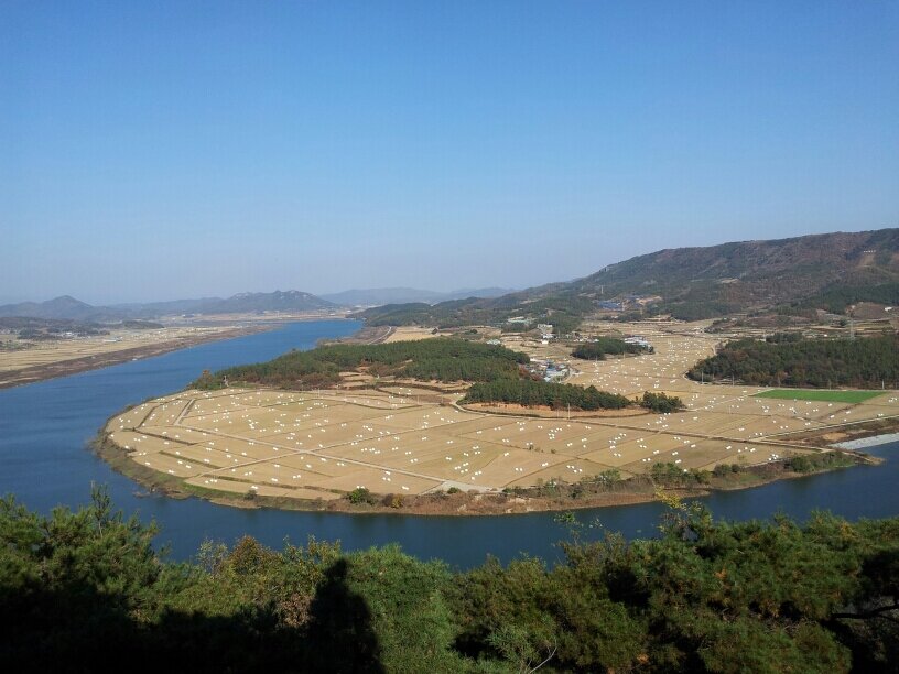 35년간 교직생활, 2012년 2월에 명예퇴직. 옥조근조훈장 수상.