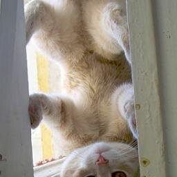 89626072447's profile picture. люблю жену и машину,еще боевые искусства,воспитываю сына-суворовца