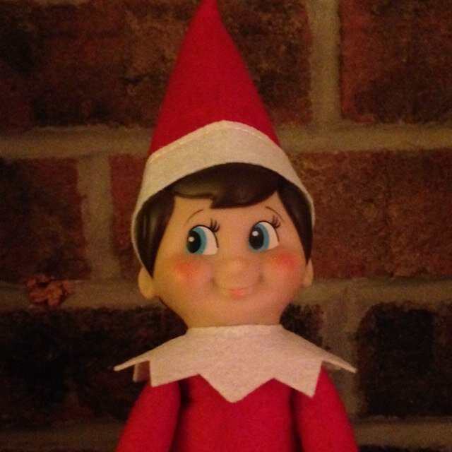 Santa's helper. Mischief causer.