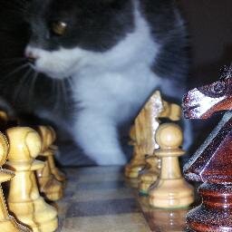 teratec's profile picture. 