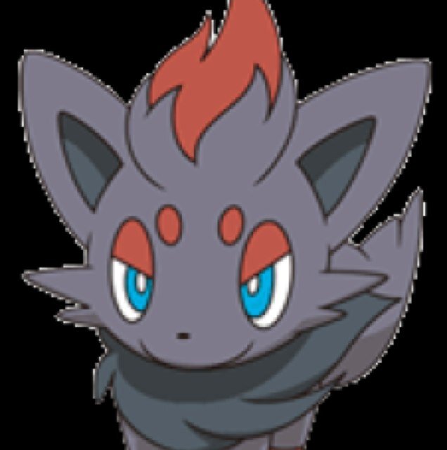 Zoura (I'm a Zoura my trainer @Despain_Kitty) #Male #Single #RP