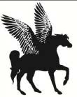 Pegasus Booksさんのプロフィール画像
