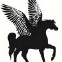 Pegasus Books (@pegasusbooksusa) 's Twitter Profile