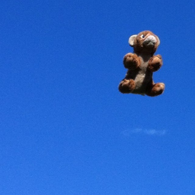 caroca5aj's profile picture. My family. Good coffee. AFL.

The rest is just details ...