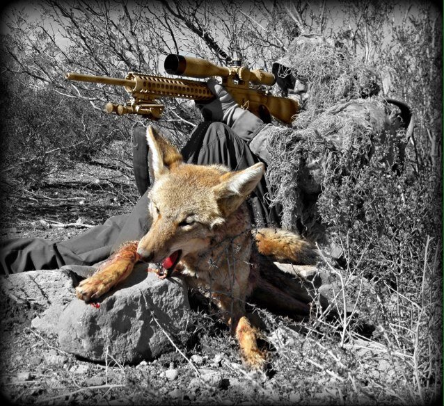 STONE COLD KILLER