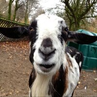 jeffrey teiwes (@teiwesjeffrey) 's Twitter Profile Photo