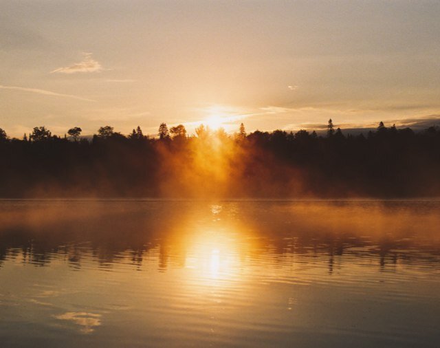 WestOrangeFilms's profile picture. T O R O N T O | O N T A R I O