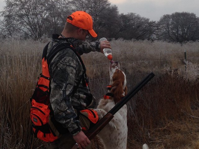 LikeaBlaze's profile picture. I have a English Setter named Blaze and we chase tail and fin every chance we get.