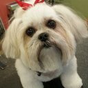 Toni Connors - @dirtydogspa - Twitter
