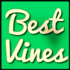 Posting The Funniest & Most Clever Vines! *Original Fan/Parody Account* NOT Affiliated With @VineApp or @Twitter. We Do Not Own The Vines That Are Posted.
