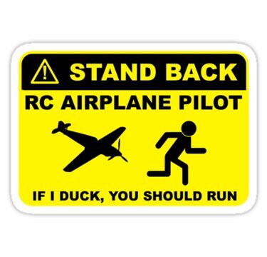 rc pilot
