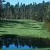 The Golfing Goose (@pebblewolfcreek) Twitter profile photo The Golfing Goose (@pebblewolfcreek) Twitter profile photo