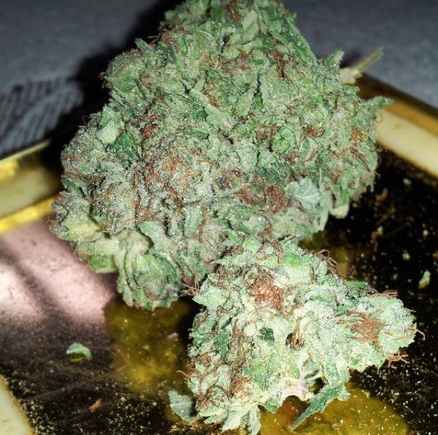 WakeNdBake's profile picture. Stoners live and stoners die. Fuck the world, let's get high.