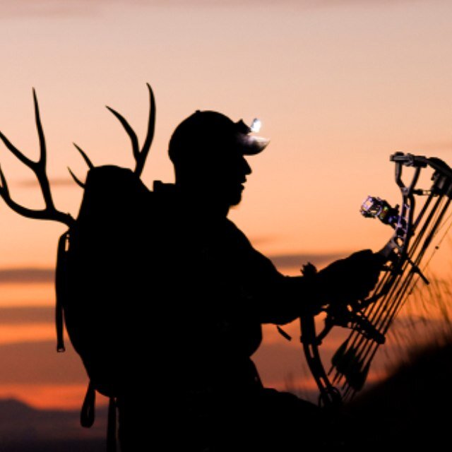 bowhuntingbackw's profile picture. Bow hunting is my passion...send kills and ill tweet/retweet them