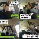 Thalia West - @ThaliaWest11 - Twitter