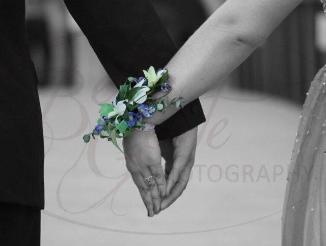 BellaGentePhoto's profile picture. 