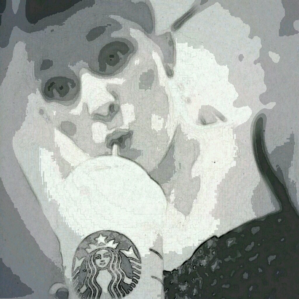 _imtorialexis_'s profile picture. 