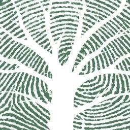 MemoryTreeMty's profile picture. Album de huellas 100% personalizado para cualquier evento social BODAS, IV AÑOS, BABY SHOWER, CUMPLEAÑOS, etc.