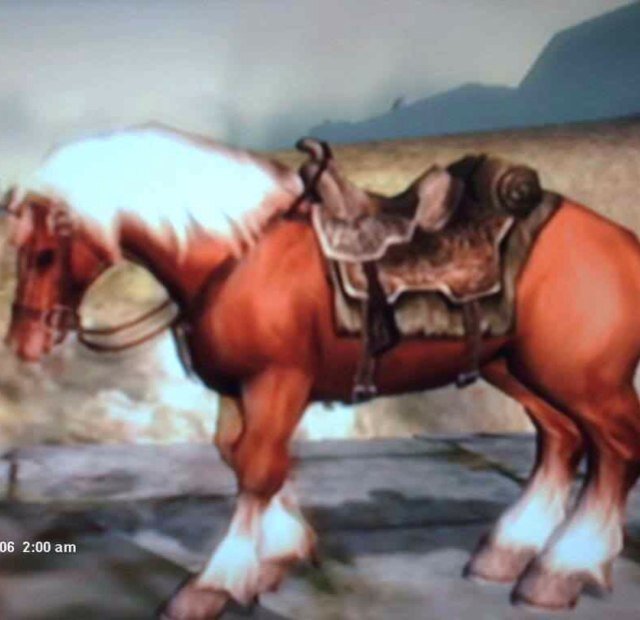 My name is Epona. I git rescued by @Link123441 my mate: @shadowfawkes12