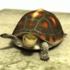 MINAところにより亀。ゲーム制作ときどき音制作な稼業。スクリプト／効果音担当。