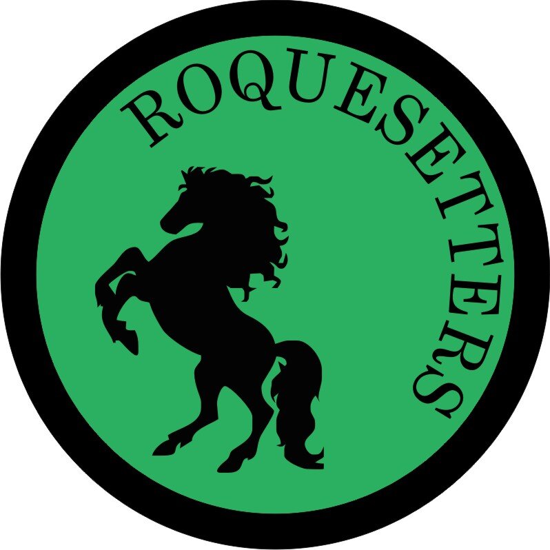 Roquesetters is an industrial design firm which facilitates business prototypes for social entrepreneurs. also run a business accelerator for central india