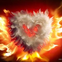 love for all
