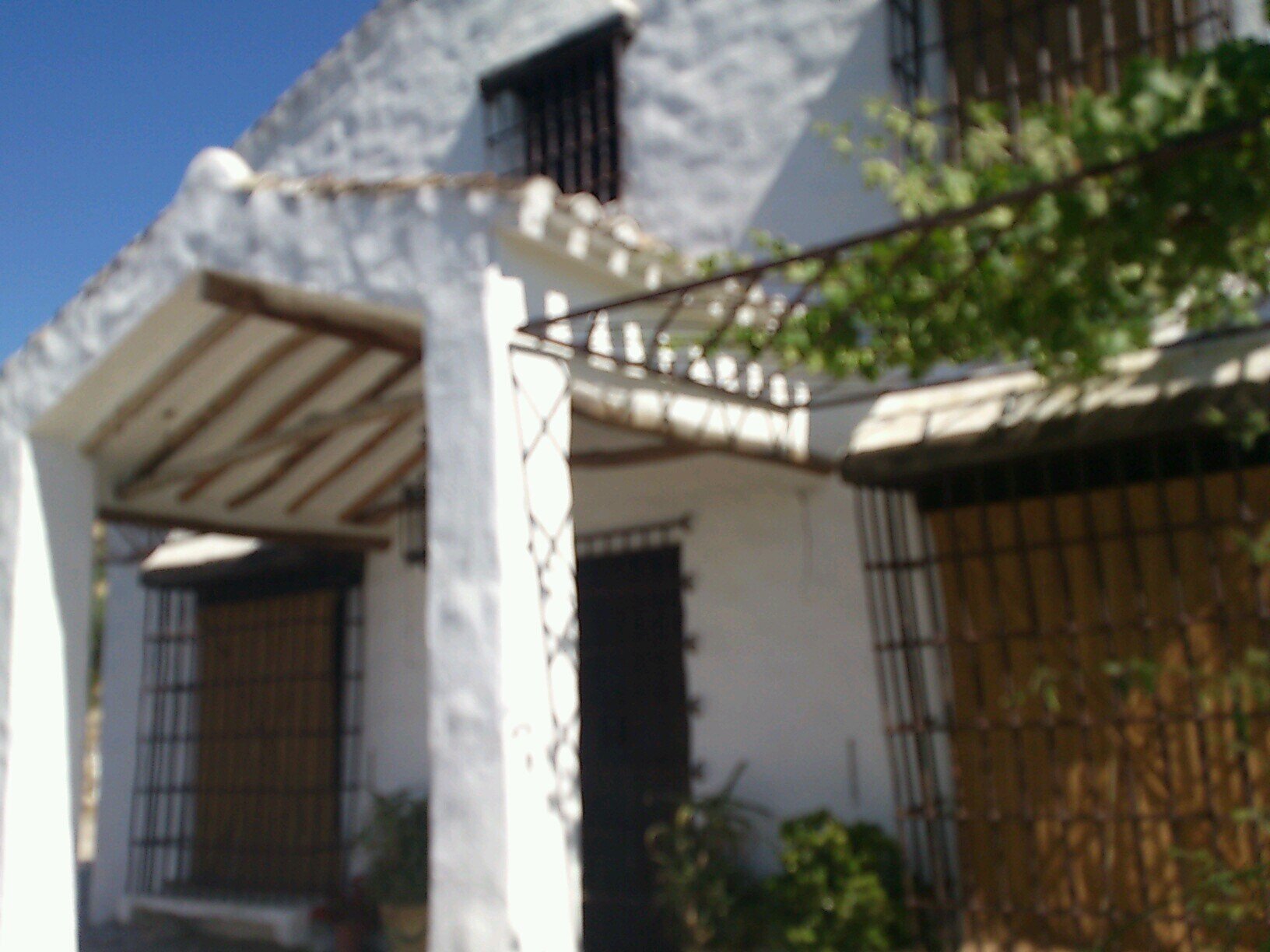 aplicaciones de pintura y microcemento,  pavimentos continuos decorativos,  mantenimiento industrial
