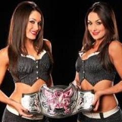 THE BIGGEST BELLA TWINS FAN U WILL EVER MET! I'M THE BELLA TWINS DOLL! PLEASE FOLLOW BACK!