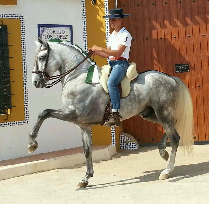 fans y amante del caballo ;)) , y enamorado de mi novia;)