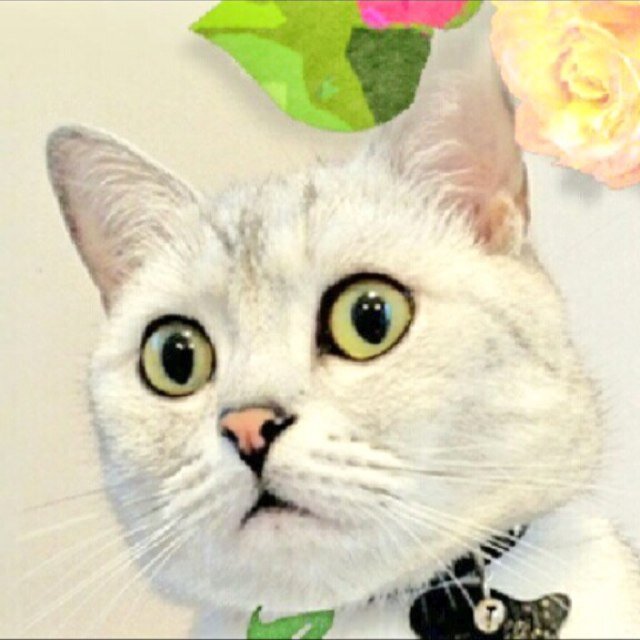 眠いけど…いや寝ようさんのプロフィール画像