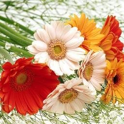 Flowers Delivery to Mauritius, Send Flowers to Mauritius