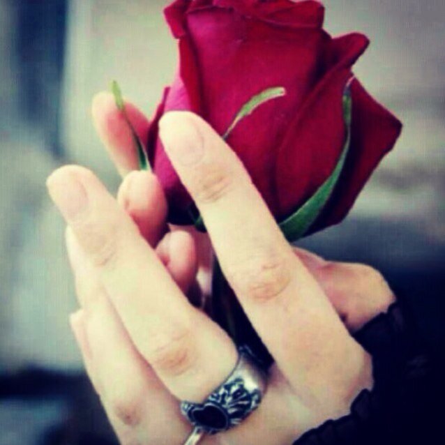رجل ... احترم الكبير والصغير وارتجي المثل . هادئ . وارتقي للأفضل .