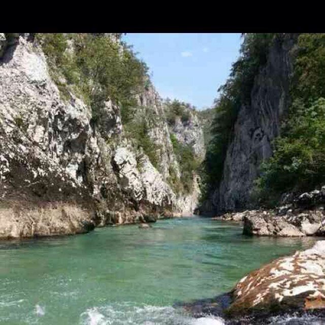 saed1433331's profile picture. 