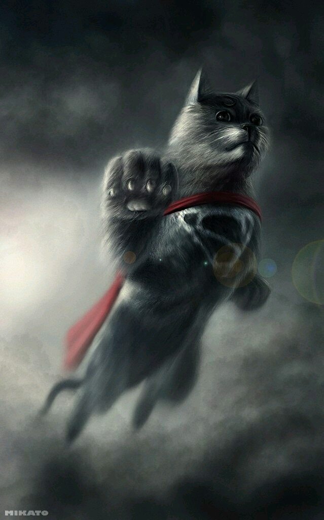 Несовершеннолетний Batman без денег, гаджетов, машины, но с благими намерениями.