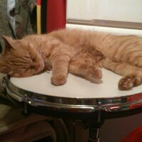 コッペ (@smilyap) 's Twitter Profile Photo