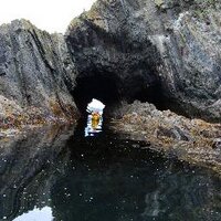 Atlantic Sea Kayaking (@askayaking) 's Twitter Profile