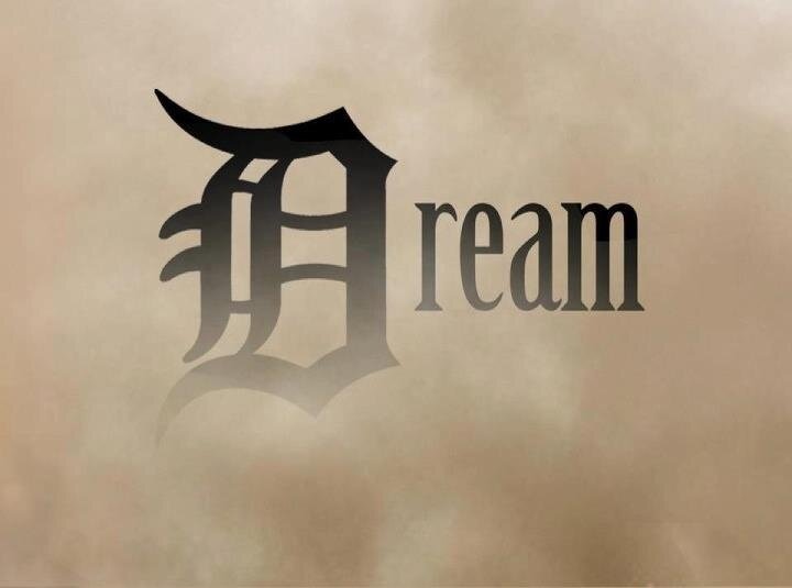 Dad, Husband and Baseball - Go Tigers!.