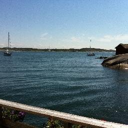 oddeker's profile picture. 