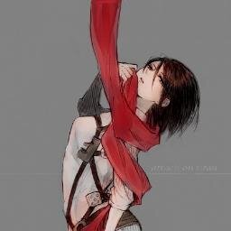 『ミカサ・アッカーマン』「If being the best soldier means to die, I'll die. — Because we have to accept our fate~」〖Shingeki no Kyojin-RP 〗