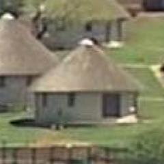 Residence of the President of South Africa, First Ladies, plus some cows and chickens