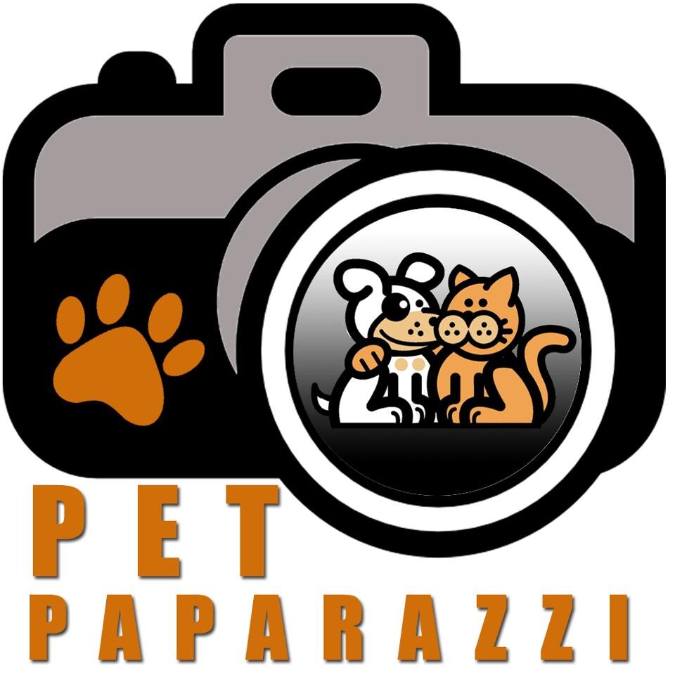 Fotografia Pet.
O amor  pelo seu pet registrado em imagens.