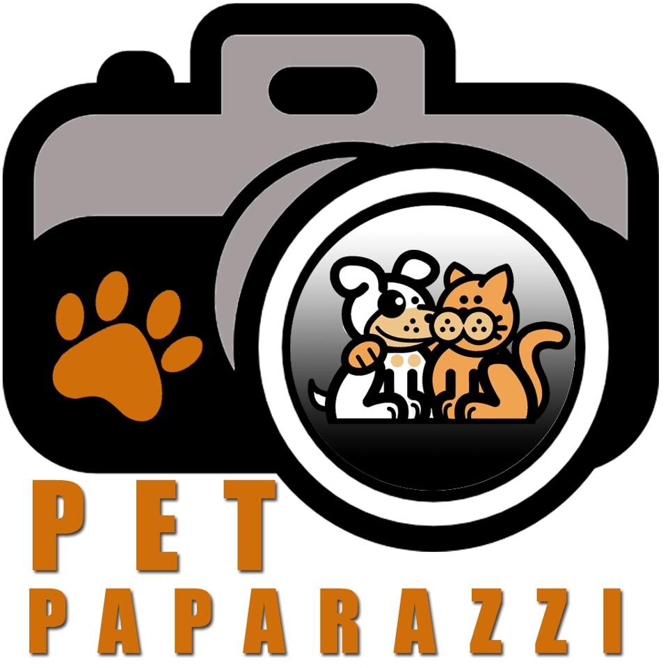 Pet Paparazzi