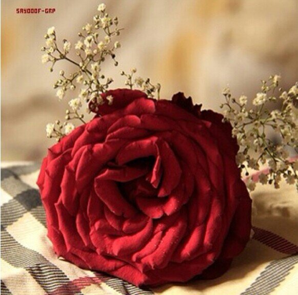 ‏&**((أجعل حياتك كالسفينه شراعها اﻷمل ووقودهاالعمل))**&