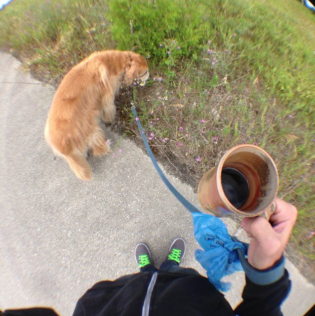 rdster_Ian's profile picture. TU Undergrad. MeatHead Racing Mechanic. Coffee bean enthusiast.